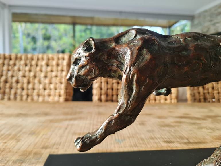 The Leopard, head and forepaw