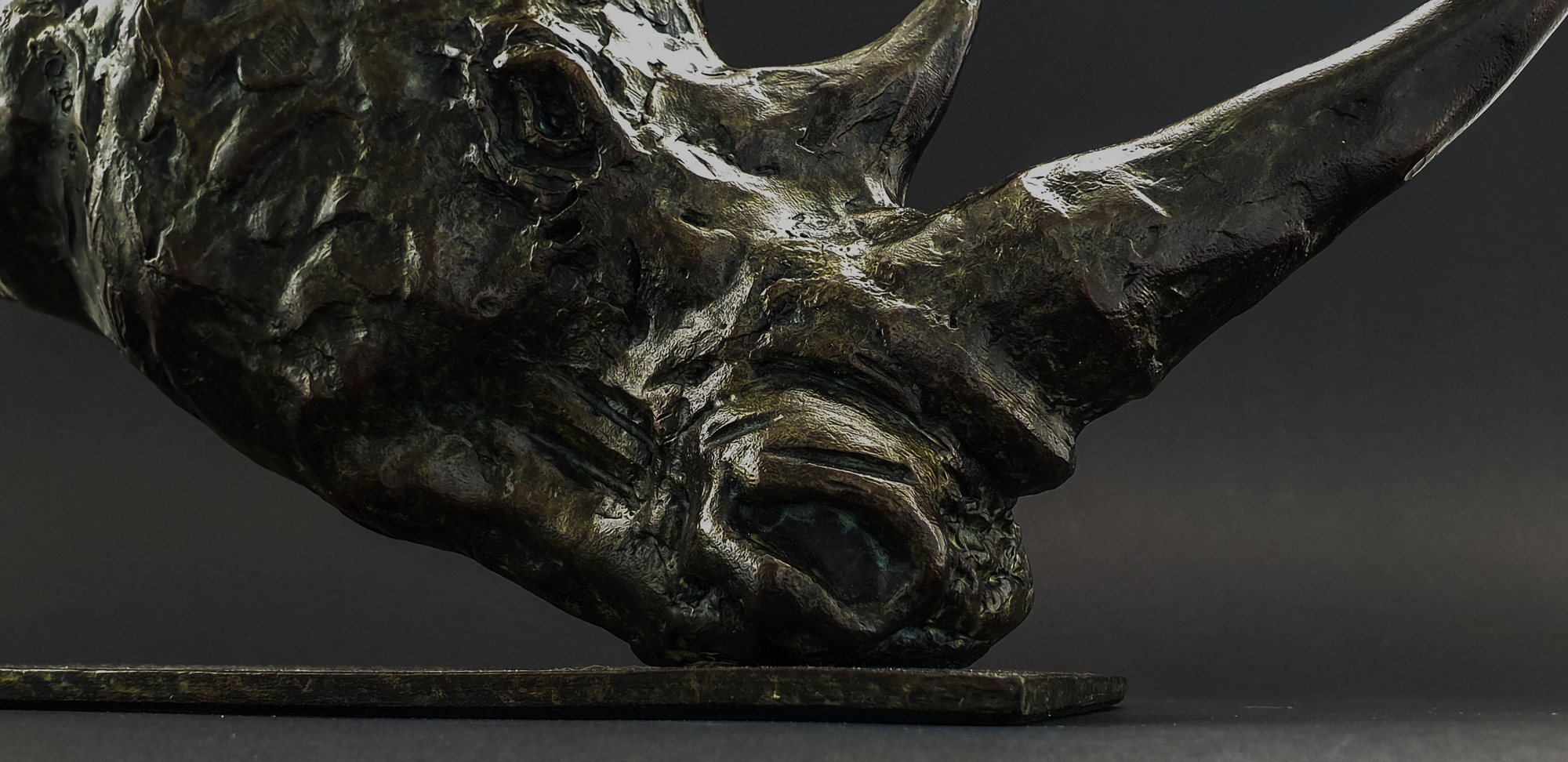 Horn and muzzle, hand-tooled surface